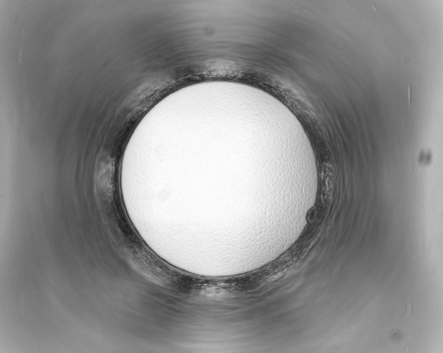 X0000093600550200711121151