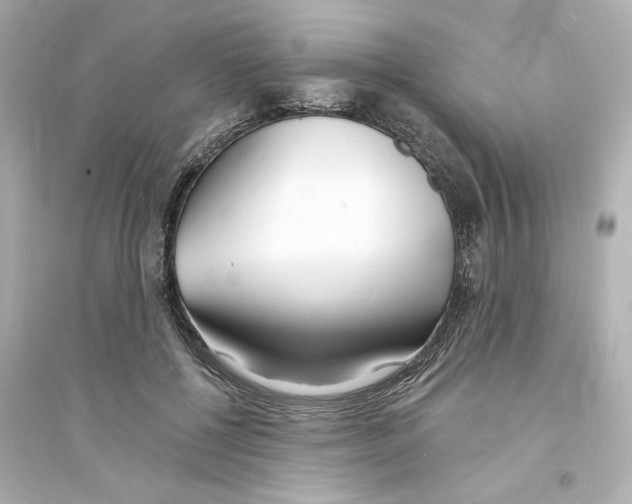 X0000093600552200711121151