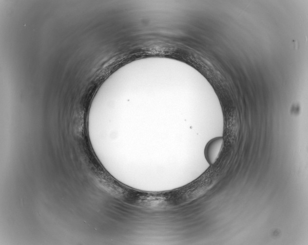 X0000093600554200711121151