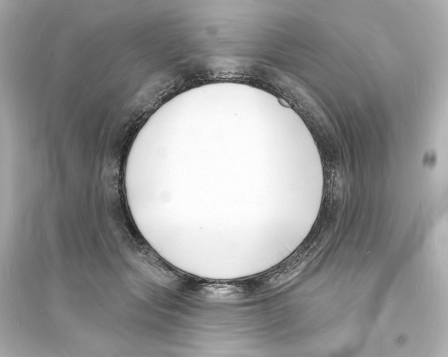 X0000093600557200711121151