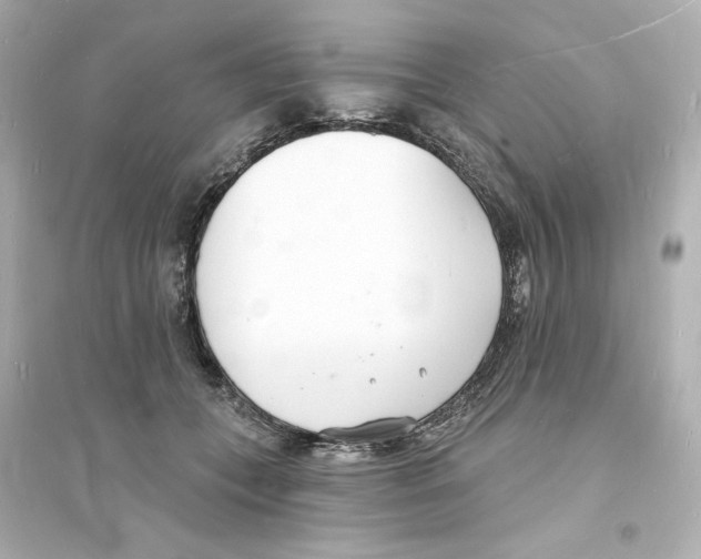 X0000093600559200711121151