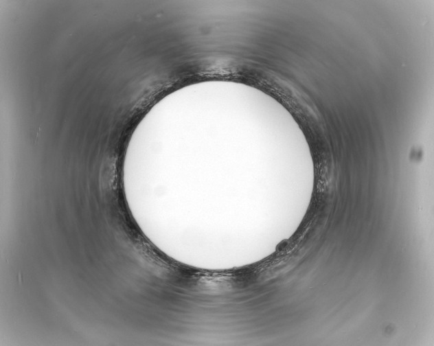 X0000093600560200711121151