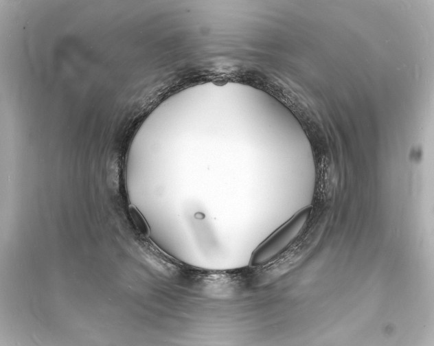 X0000093600562200711121151