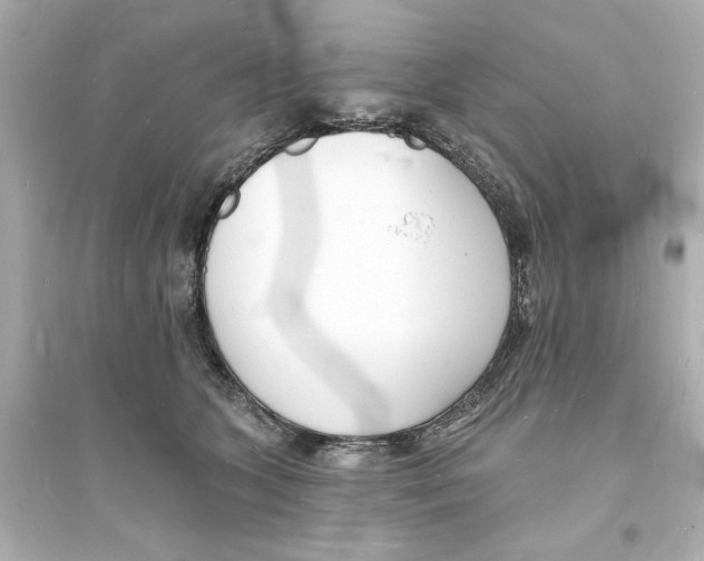 X0000093600563200711121151