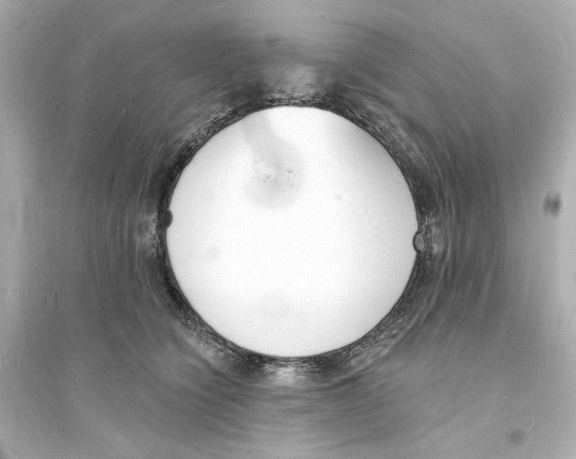 X0000093600564200711121151