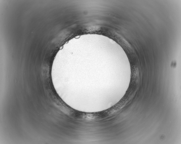 X0000093600565200711121151