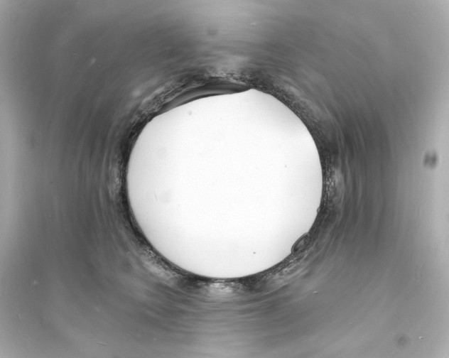 X0000093600566200711121151