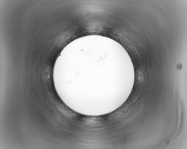 X0000093600567200711121151