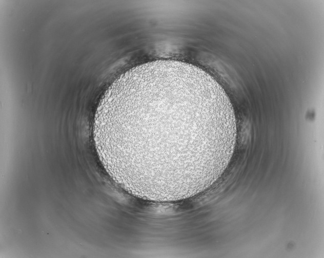 X0000093600569200711121151