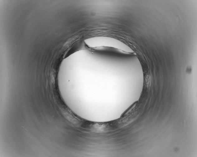 X0000093600570200711121151