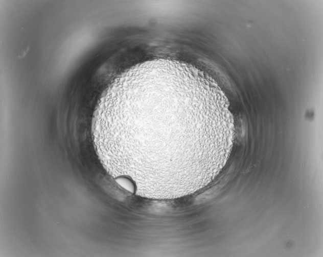 X0000093600573200711121151