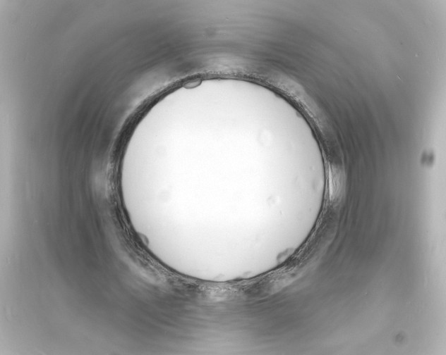 X0000093600579200711121150