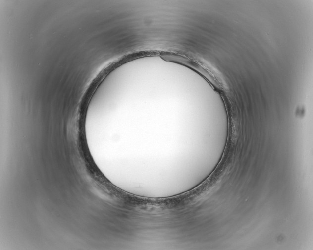 X0000093600580200711121150