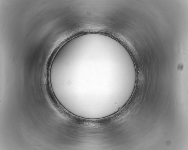 X0000093600582200711121150