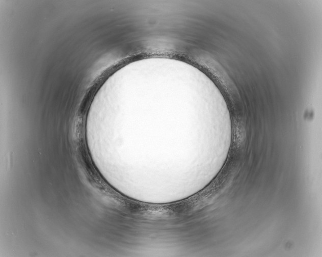 X0000093600583200711121150