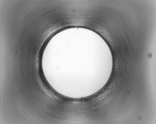 X0000093600584200711121150