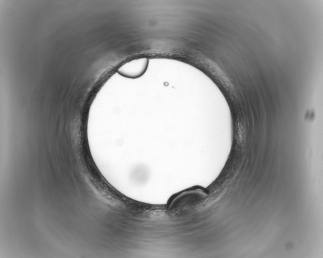 X0000093600588200711121150