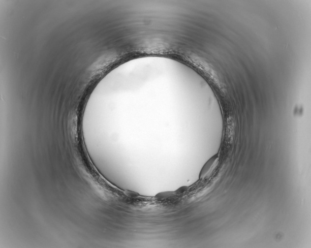 X0000093600589200711121150