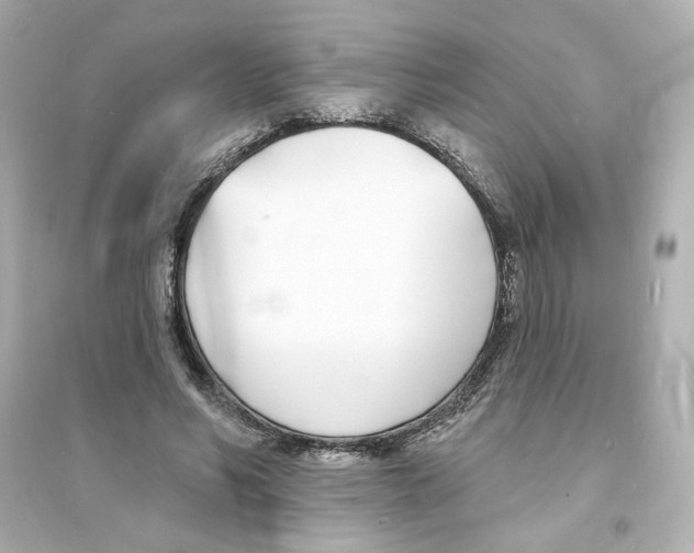 X0000093600590200711121150