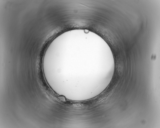 X0000093600591200711121150