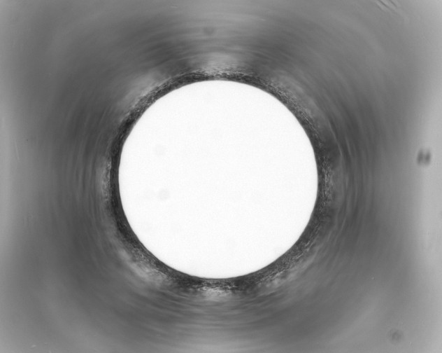 X0000093600592200711121150