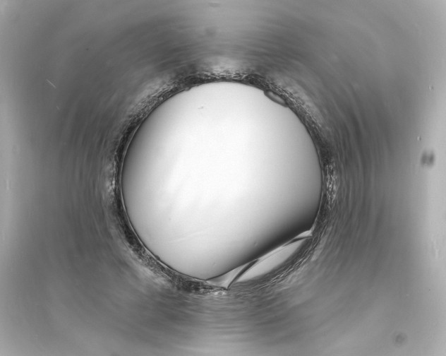 X0000093600593200711121150