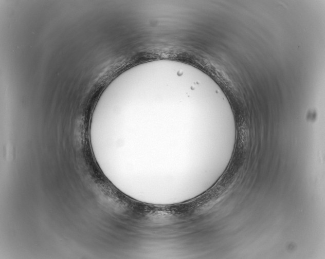 X0000093600594200711121150