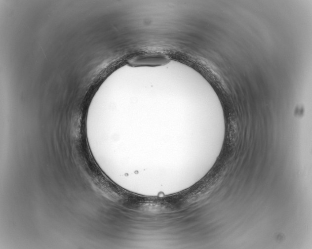 X0000093600596200711121150