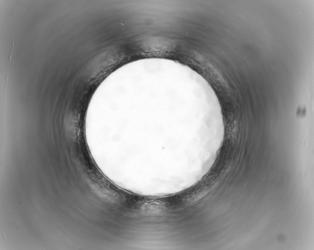 X0000093600599200711121150