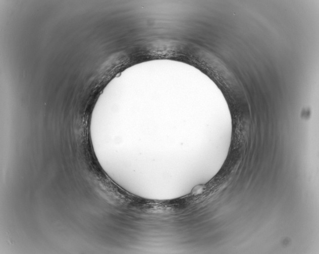 X0000093600601200711121150