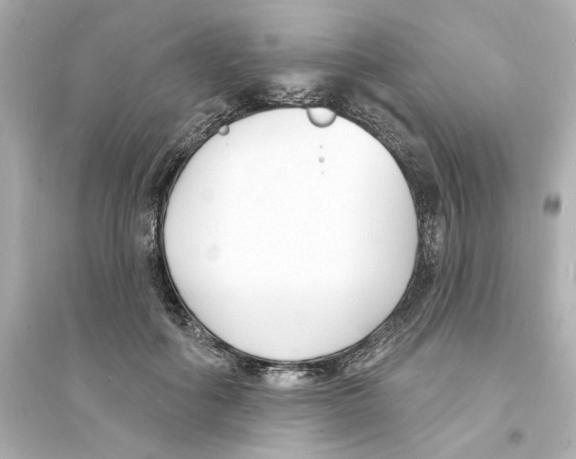 X0000093600602200711121150