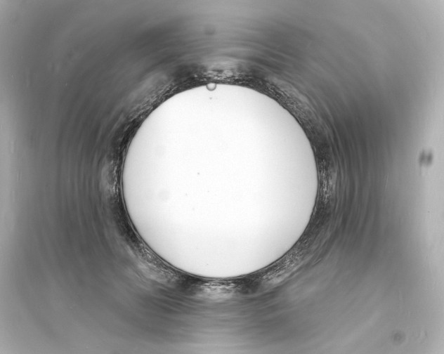 X0000093600606200711121150