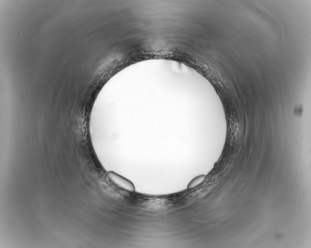 X0000093600609200711121150