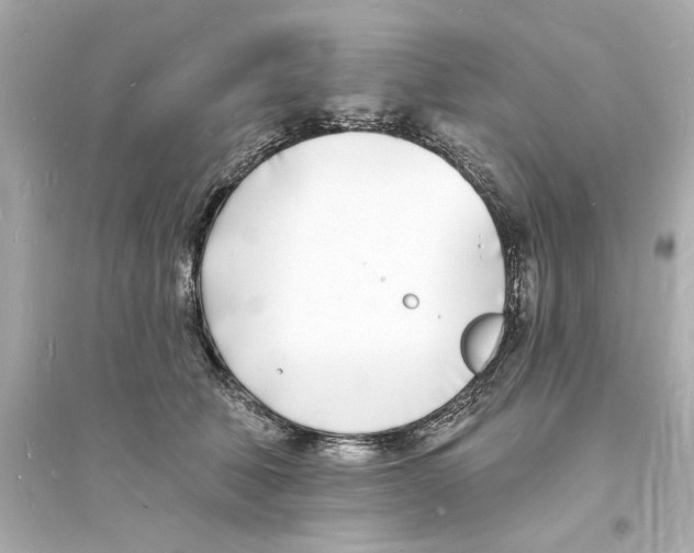 X0000093600610200711121150