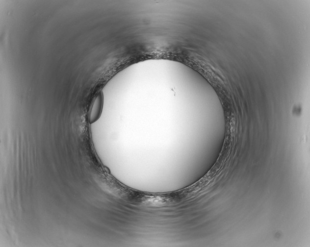 X0000093600611200711121150