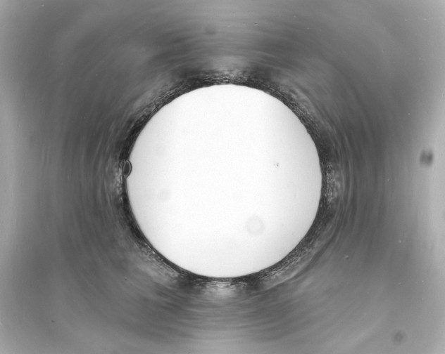 X0000093600613200711121150