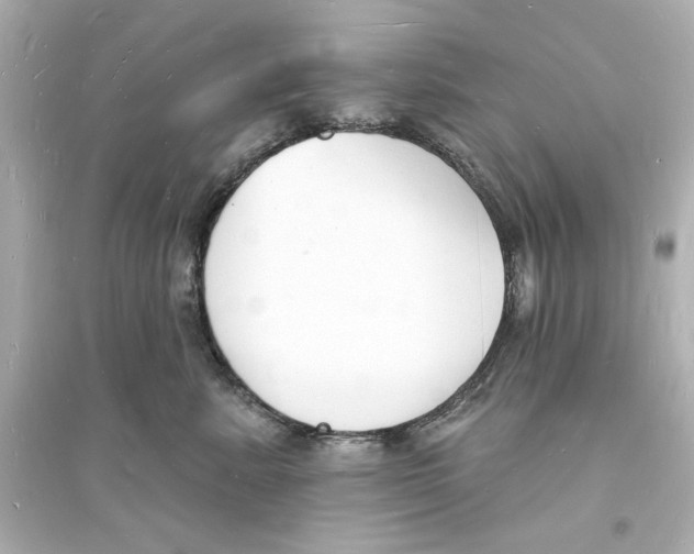 X0000093600619200711121150