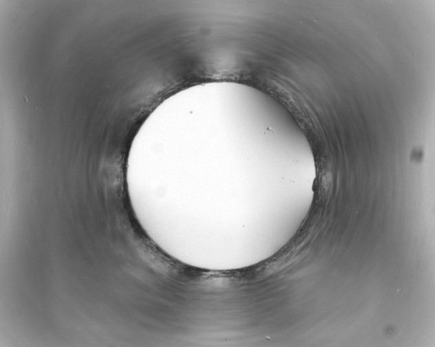 X0000093600620200711121150