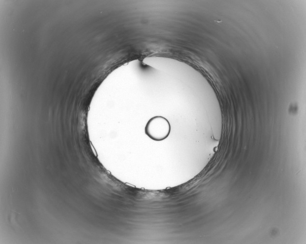 X0000093600621200711121150