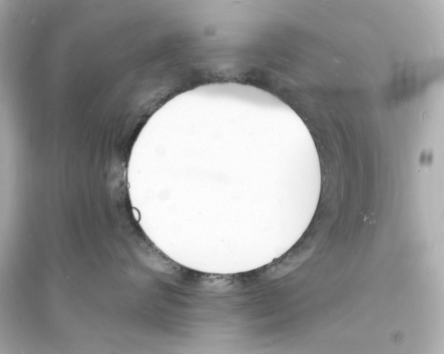 X0000093600624200711121150