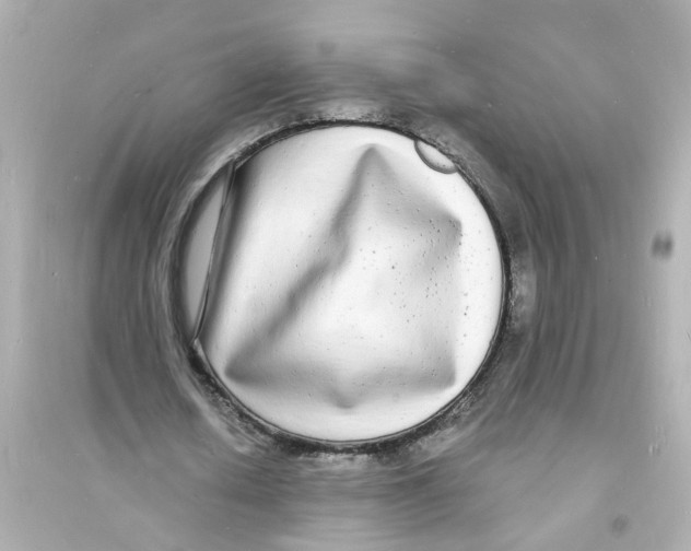 X0000093600626200711121149