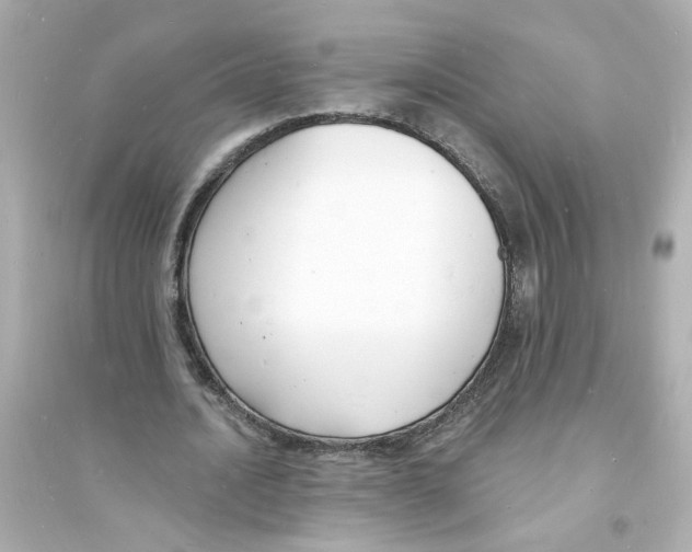 X0000093600628200711121149