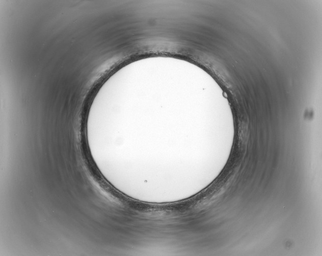 X0000093600629200711121149