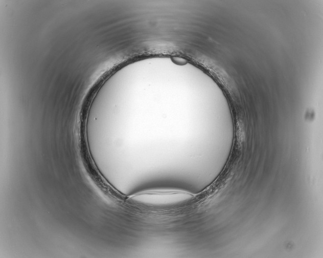 X0000093600630200711121149