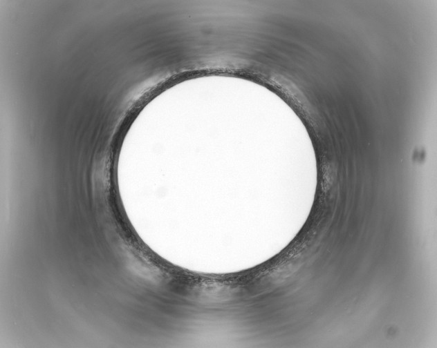 X0000093600632200711121149