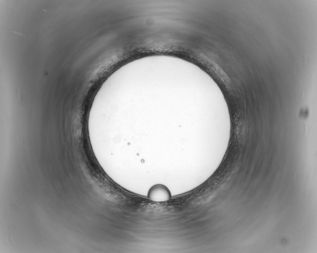 X0000093600635200711121149