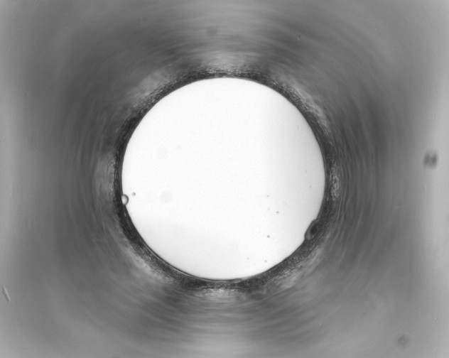 X0000093600637200711121149