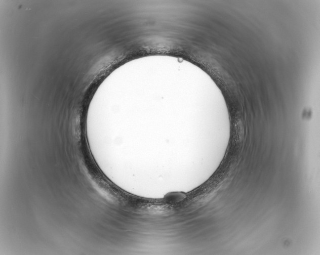 X0000093600638200711121149