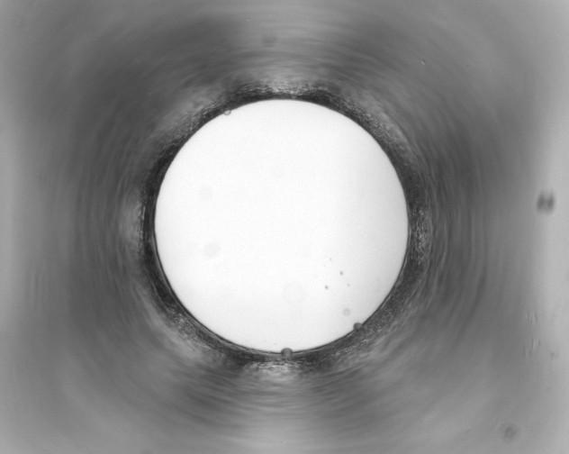 X0000093600639200711121149