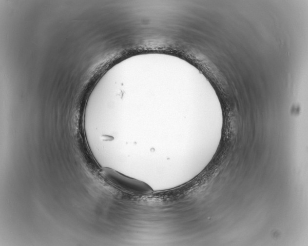 X0000093600640200711121149